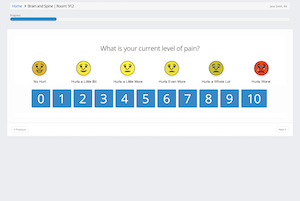 Screenshot for patient feedback on pain level for hourly rounding with Palarum